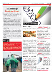 Síða 23