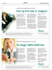 Síða 2