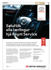 Síða 3