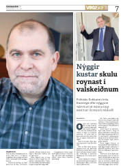 Síða 7