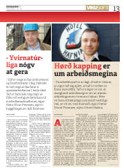 Síða 13