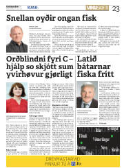Síða 23