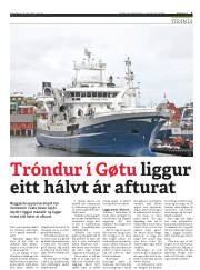 Síða 3
