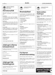 Síða 8