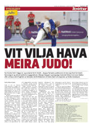 Síða 17