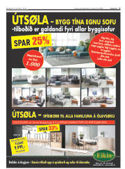 Síða 3