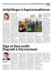 Síða 17