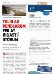 Síða 5