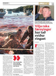 Síða 11