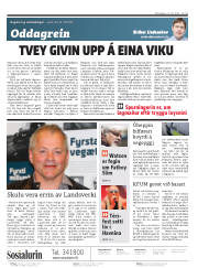 Síða 2