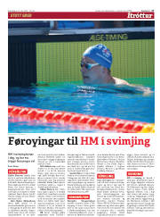 Síða 17