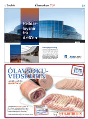 Síða 19