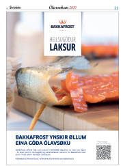Síða 21