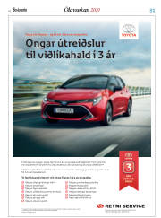 Síða 31