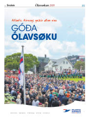Síða 35