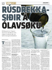 Síða 12