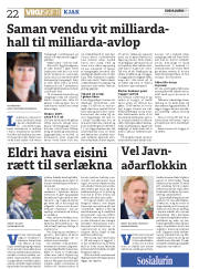 Síða 22