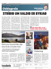 Síða 2