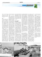 Síða 27