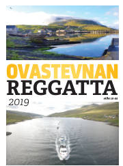 Síða 11