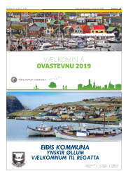 Síða 17