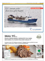 Síða 19