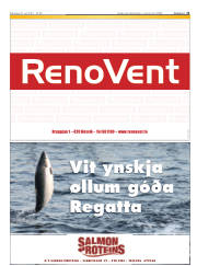 Síða 21