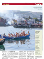 Síða 29