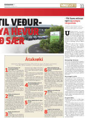 Síða 11