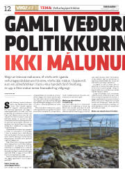 Síða 12