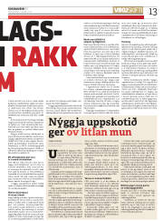 Síða 13