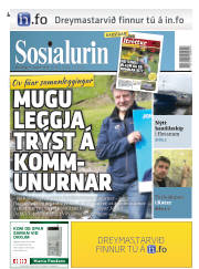 Síða 1