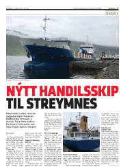 Síða 3