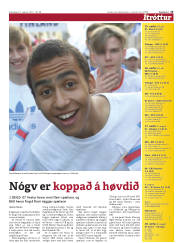 Síða 15