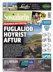 Síða 1
