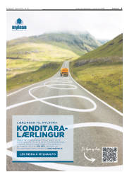Síða 5