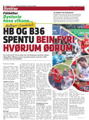 Síða 8