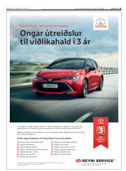 Síða 15