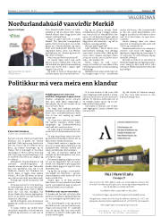 Síða 17