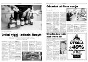 Síða 5