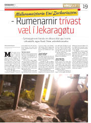 Síða 19