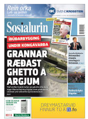 Síða 1