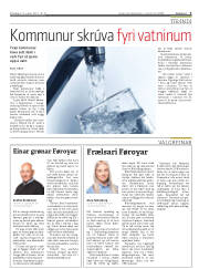 Síða 3