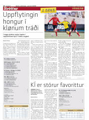 Síða 12