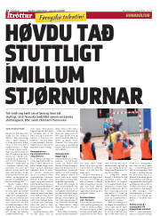 Síða 14