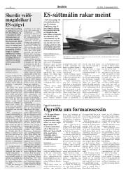 Síða 8