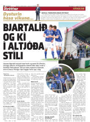 Síða 20