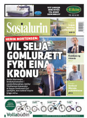 Síða 1