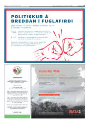 Síða 19