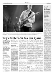 Síða 11